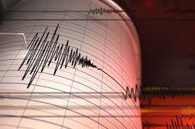 Imbas Gempa Dahsyat di Rusia, BNPB Minta Warga 10 Wilayah Pesisir Jauhi Pantai
