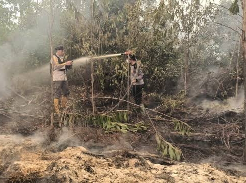 Polda Riau Periksa Pekerja Kelompok Tani Terkait Karhutla di Dumai dan Bengkalis
