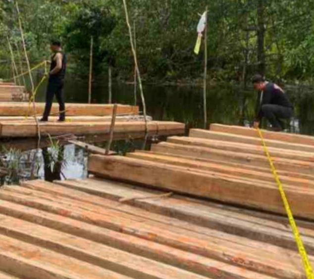 Polres Meranti Tangkap Pelaku Illegal Logging, 8 Ton Kayu Diamankan
