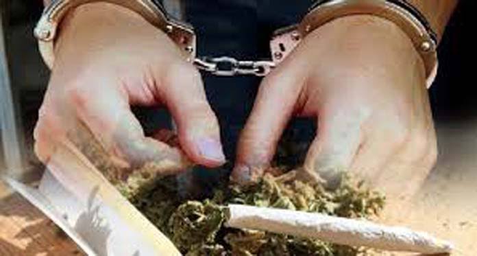 Polsek Bonai Darussalam Ringkus Pengedar Ganja di Warung Tuak