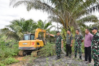 Danrem 031/WB Pantau Penumbangan Sawit Ilegal di TNTN