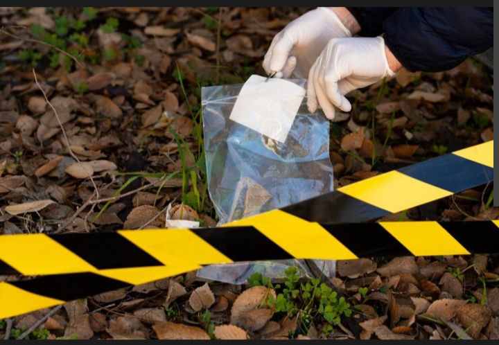 Seorang Penambang Emas di Kuansing Tewas di Lahan Pribadi
