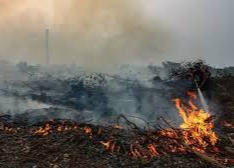 Riau Waspada Cuaca Ekstrem, 21 Titik Panas Terdeteksi di Tengah Ancaman Karhutla