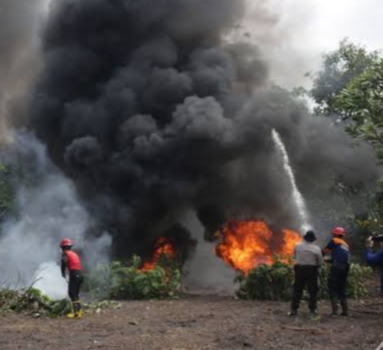 Riau Siaga Penuh Hadapi Karhutla, BPBD: Penanganan Harus Lebih Cepat dan Terkoordinasi