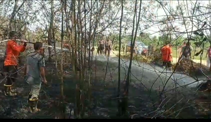 Satu Hektar Kebun Karet di Kuantan Tengah Terbakar