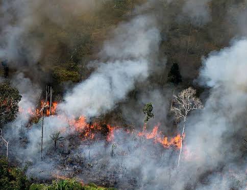 60 Hotspot Kepung Riau, Paling Banyak Kabupaten Inhu 47 Titik