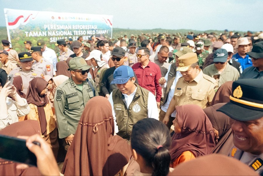 Menhut Luncurkan Program Reforestasi di Tesso Nilo, Target 2.557 Hektare