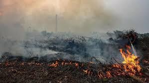 Panas Terik, 141 Hotspot Membara di Sumatera