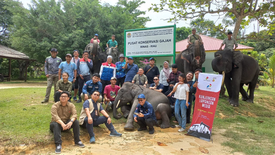 SKK Migas - PHR Gandeng BBKSDA Jaga Pelestarian Gajah Sumatera