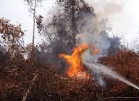 Curah Hujan Tinggi, 56 Titik Panas Masih Membara di Riau