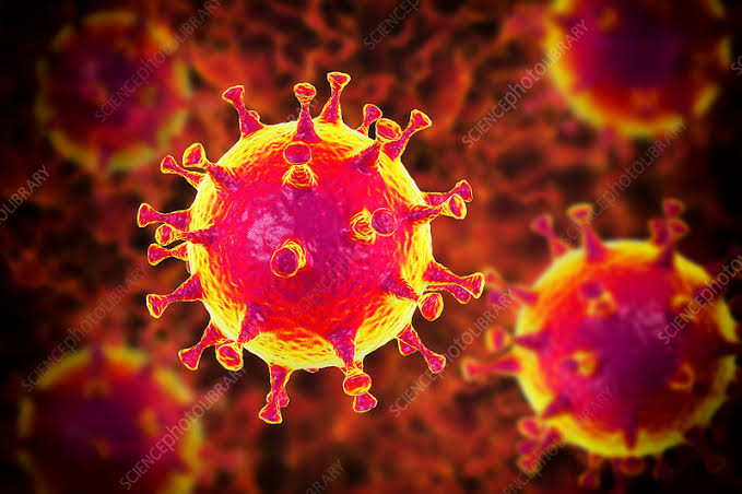 Ilmuwan: Penyebaran Virus Corona Lebih Lamban di Daerah Beriklim Panas