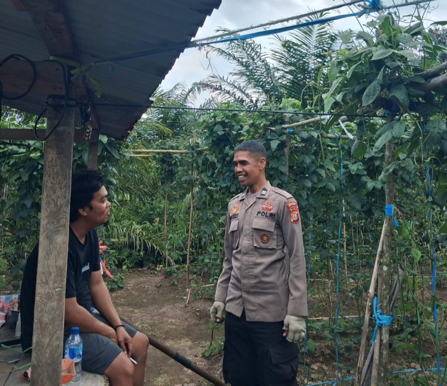 Polsek Rupat Perkuat Pendampingan Petani Demi Sukseskan Ketahanan Pangan