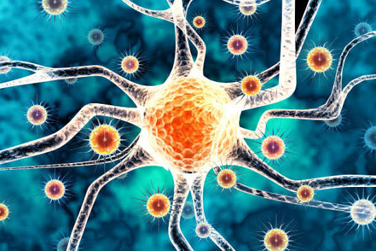 PKH Riau Tingkatkan Kewaspadaan, Antisipasi Ancaman Virus Nipah