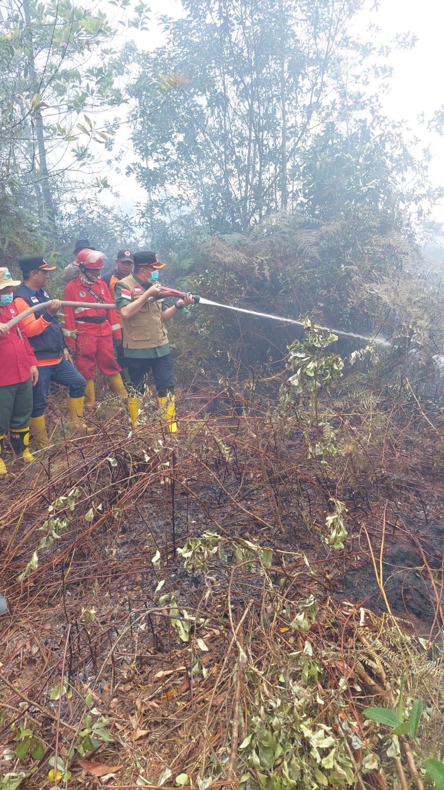 Gubri Syamsuar Berjibaku Turun Langsung Padamkan Karhutla di Dumai