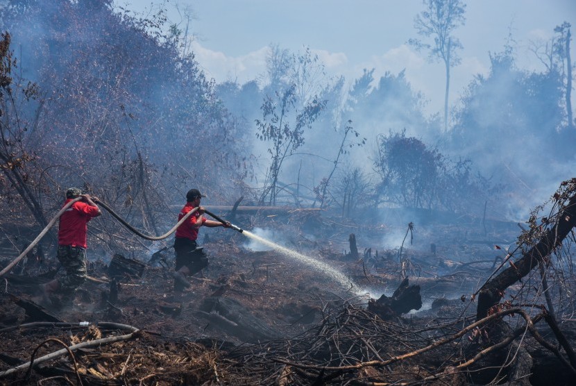 Hingga Juli 2023,  Seluas 29 Hektar Lahan di Pekanbaru Terbakar