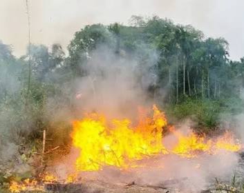 Awas! 39 Titik Panas Muncul di Riau, BMKG Ingatkan Waspada Karhutla