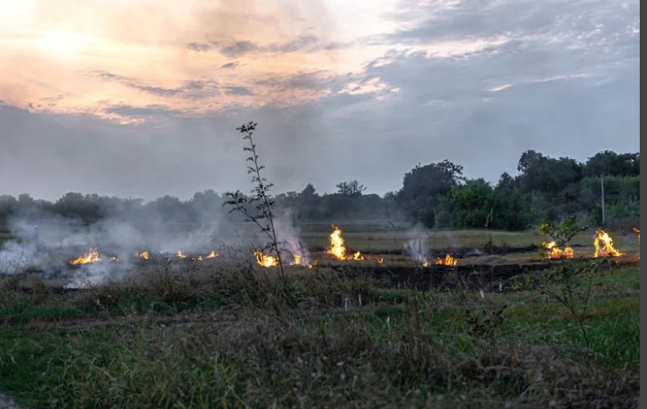 Riau Waspada Karhutla, 57 Titik Panas Terpantau di Sejumlah Wilayah