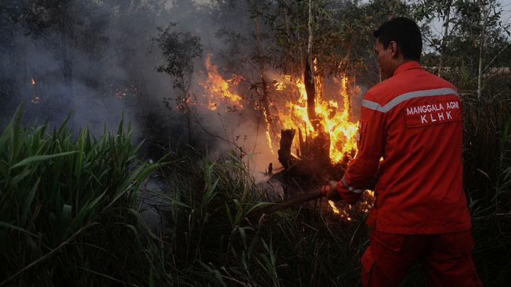 Titik Panas di Sumatera Meningkat, Riau Catat 17 Hotspot