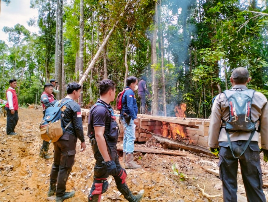 Patroli Gabungan KPH, Polres dan TNI  Musnahkan Ratusan Tual Kayu Olahan