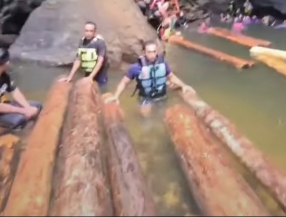 Temuan 175 Tual Kayu di Sungai Gulamo Kampar Diduga dari Sumbar