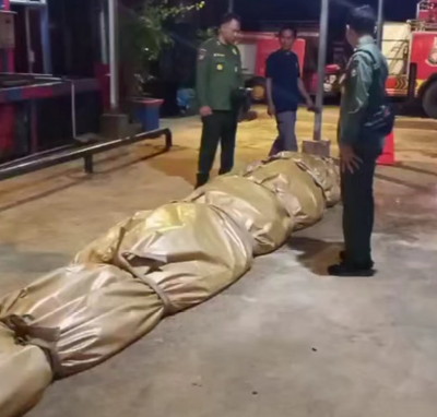 Isi Perut Buaya Jumbo di Inhil Bikin Merinding, Sampah Plastik hingga Pecahan TV Ditemukan!