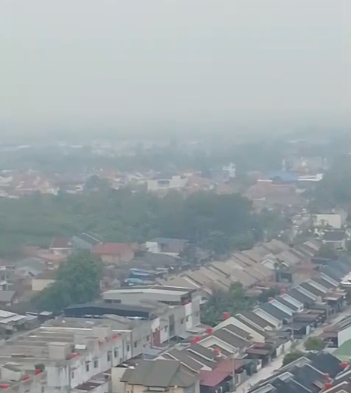 Pekanbaru Diselimuti Kabut Asap, Kualitas Udara Sangat Tidak Sehat