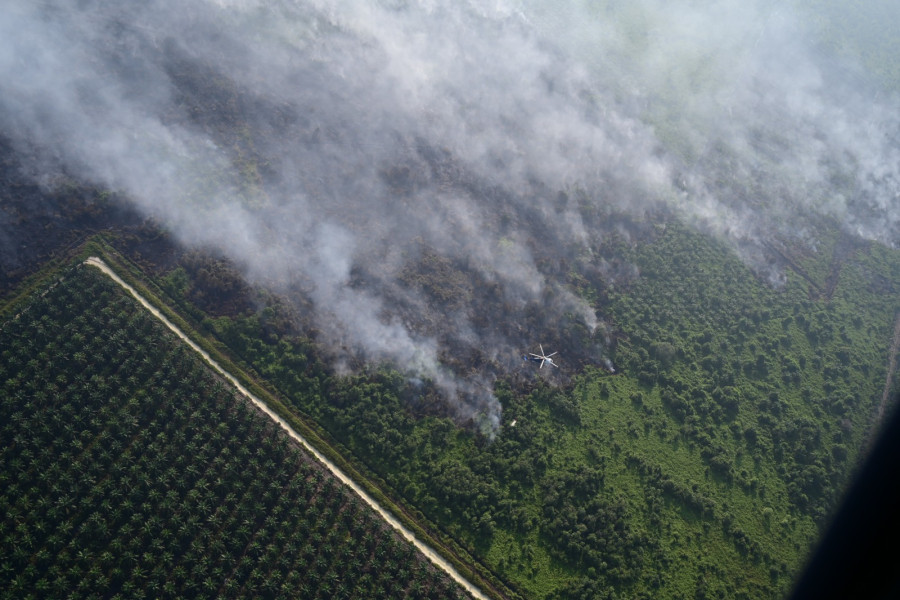 Patroli Udara Lanud Rsn Temukan Kebakaran Hutan dan Lahan di Riau