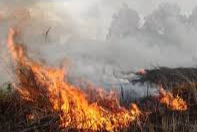 Kebakaran Lahan Melanda 3 Kecamatan di Pelalawan