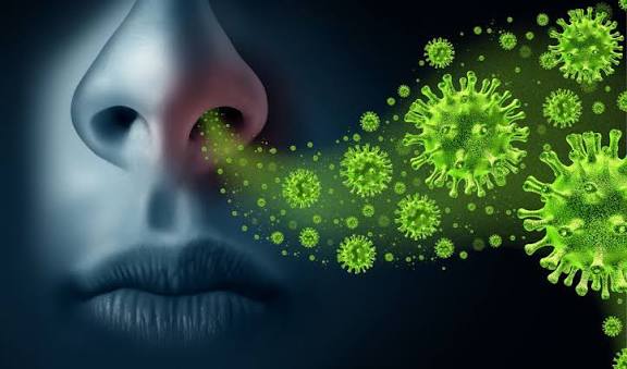 Lima Anak Suku Talang Mamak di Inhu Meninggal Terpapar Influenza A