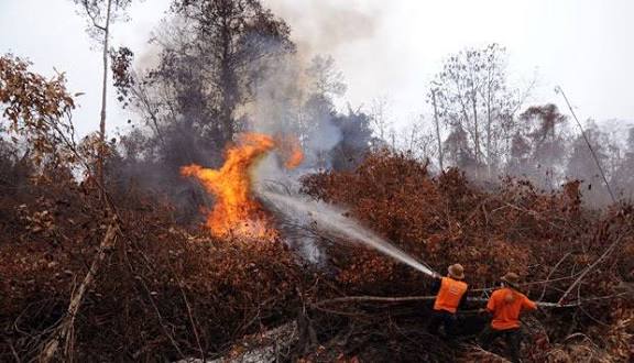 Titik Panas di Riau Melonjak Jadi 118, BMKG Imbau Waspada Karhutla