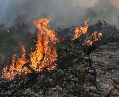 Pemko Pekanbaru Tetapkan Status Siaga Karhutla