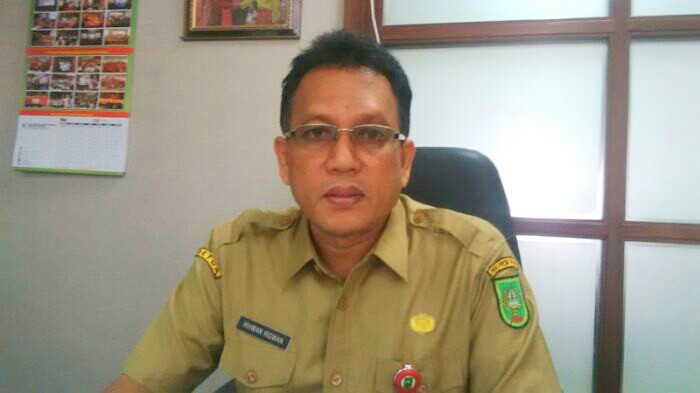Tercatat, Sudah 7.324 Jumlah Pelamar CPNS yang Masuk  