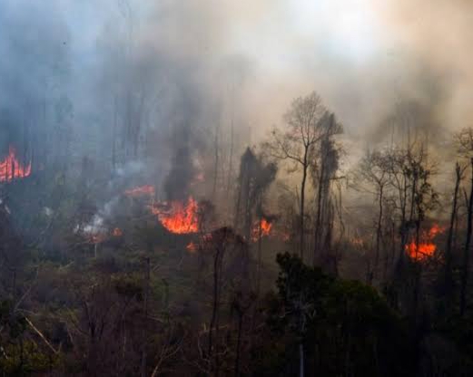 1.741,63 Hektar Lahan di Riau Terbakar, Terbanyak Bengkalis