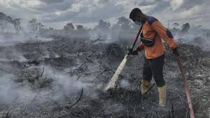 Diguyur Hujan Sejak Dini Hari, Riau Bebas Titik Panas