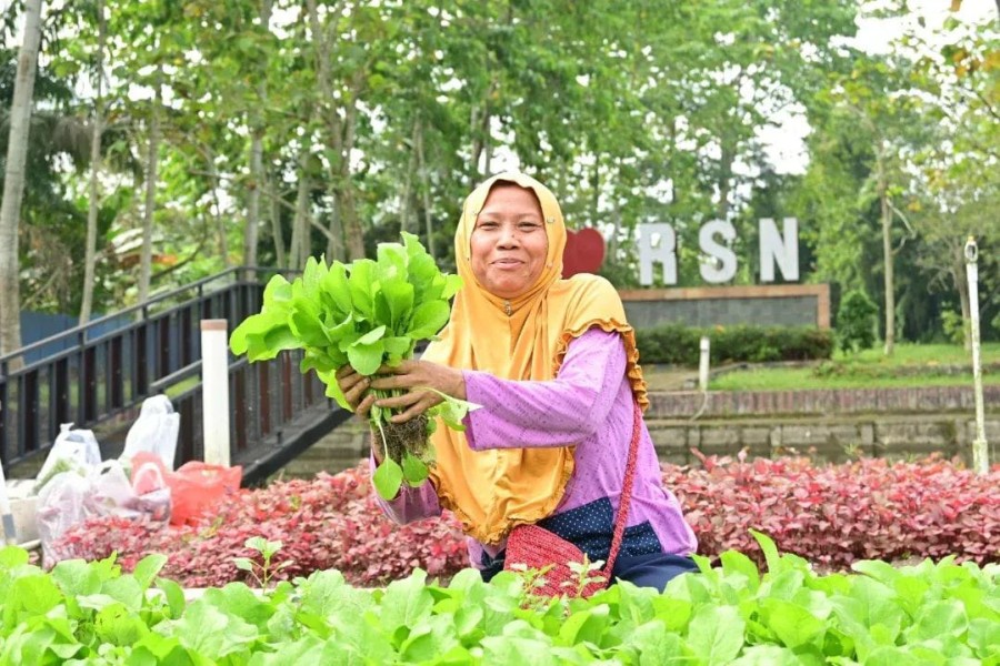 Warga Sidomulyo Timur Panen Sayur Bareng Lanud Roesmin Nurjadin
