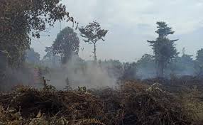 BMKG Pekanbaru Deteksi 709 Titik Panas di Sumatera, 23 Ada di Riau