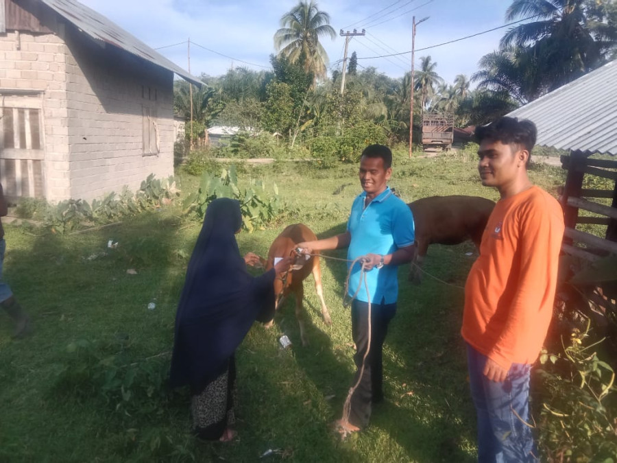 Pemdes Siberoba Salurkan Bantuan 8 Ekor Sapi dari Dana Desa