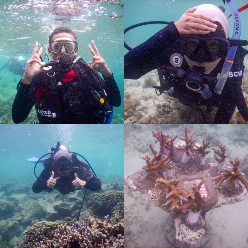 Dr.Afni Z Tunaikan Janji, Ajak Siswa SMAN 1 Siak Tanam Coral ke Taman Nasional Laut Jakarta