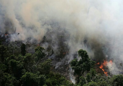 Hutan Amazon Terbakar, Presdien Prancis: Ini adalah Krisis Internasional