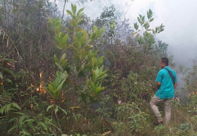 Kebakaran Lahan Milik UIN Suska, Api Mendekati Asrama Putri