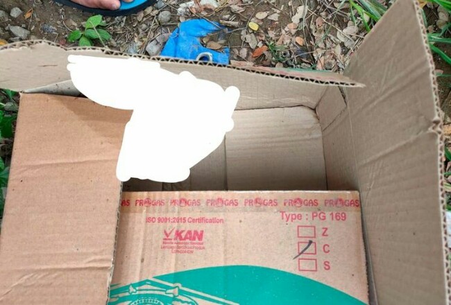 Jasad Bayi Laki-laki Berbalut Kain Putih Ditemukan dalam Kardus