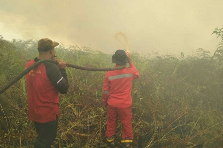 Tim Satgas Berjibaku Padamkan Karhutla di Pelalawan