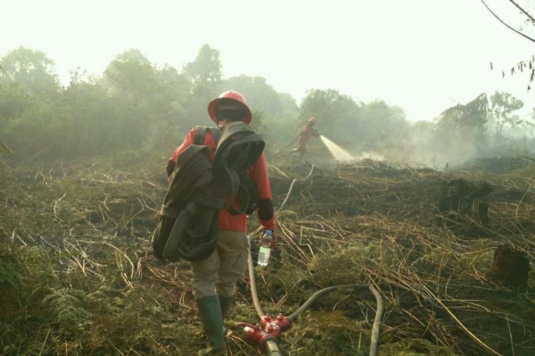 BPBD Riau: Titik Api Karhutla di Riau Turun 