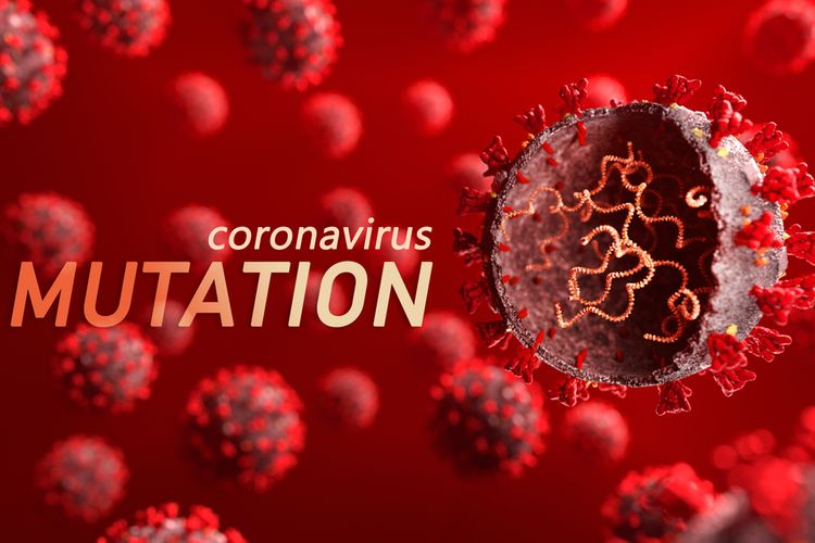 54 Kasus dari 3 Varian Corona yang Diwaspadai Dunia Ada di RI 