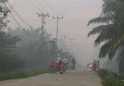 13 Sekolah Diliburkan di Pulau Rupat Akibat Kabut Asap Makin Parah