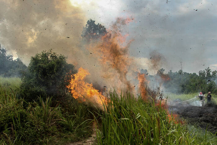 Selama 2021 Terdapat 53 Kebakaran Lahan di Pekanbaru