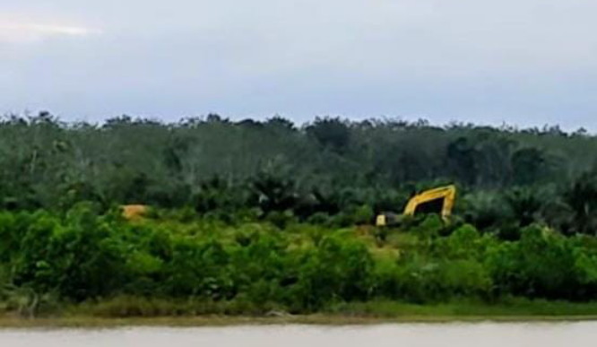 Aktivitas PETI Gunakan Excavator di Danau Kebun Nopi Disorot, Warga Minta Aparat Bertindak