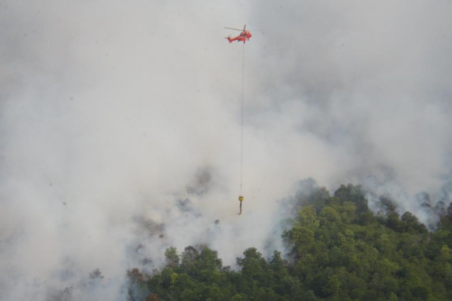 Sinar Mas Kerahkan Dua Heli Padamkan Karhutla di Dumai dan Bengkalis