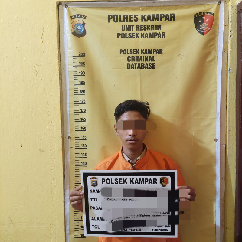 Cabuli Anak di Bawah Umur, Pemuda di Kampar Diringkus Polisi