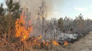 Riau Masih Dilanda 32 Hotspot, Rokan Hilir Terbanyak